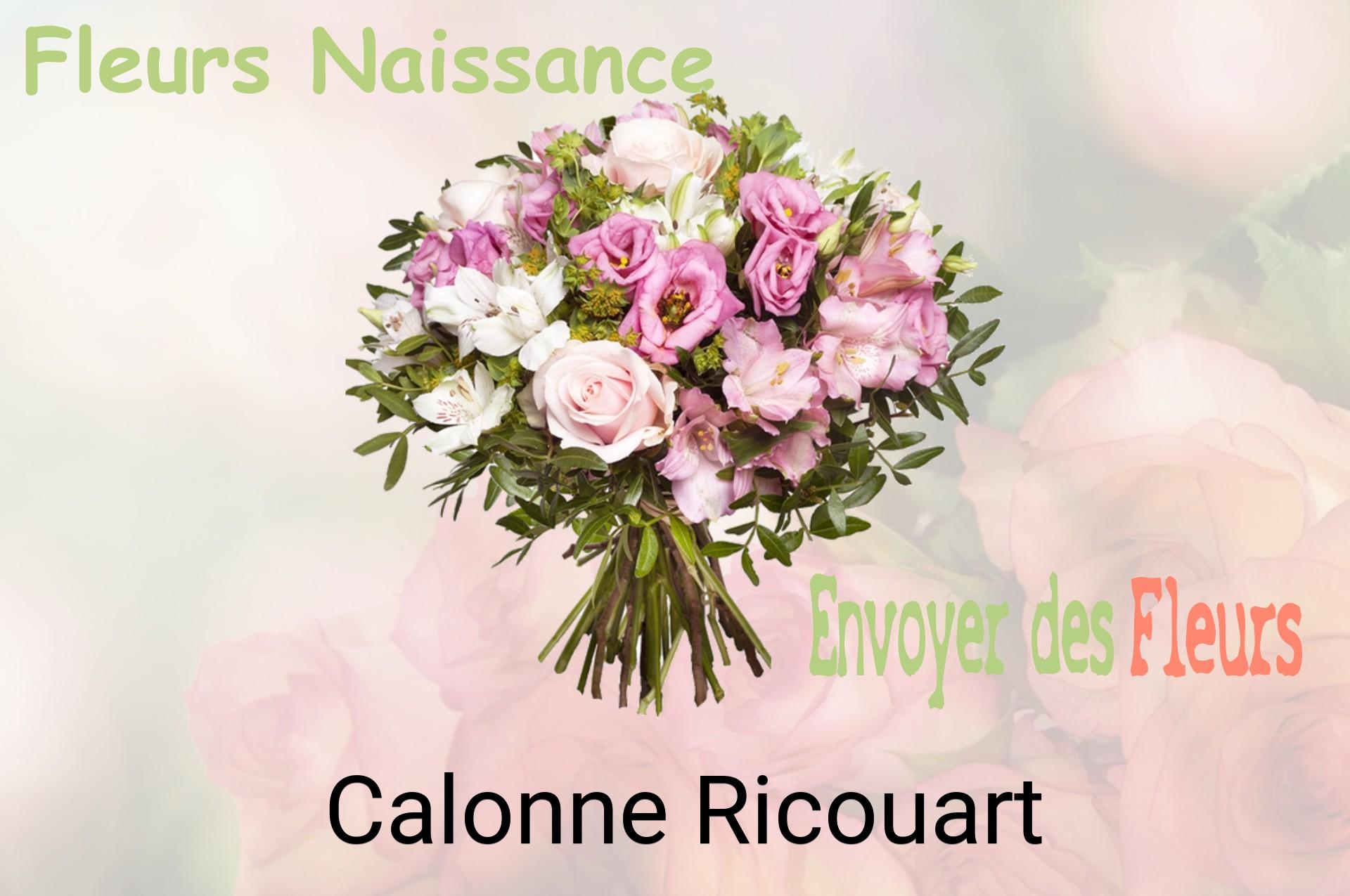 Bouquet de fleurs de naissance livré à Calonne-Ricouart